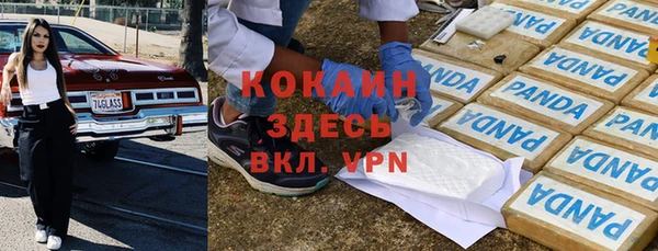 дживик Зерноград