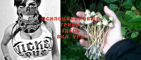 ешки Зеленокумск