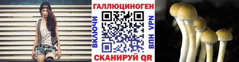 Псилоцибиновые грибы GOLDEN TEACHER  ОМГ ОМГ   Слободской 