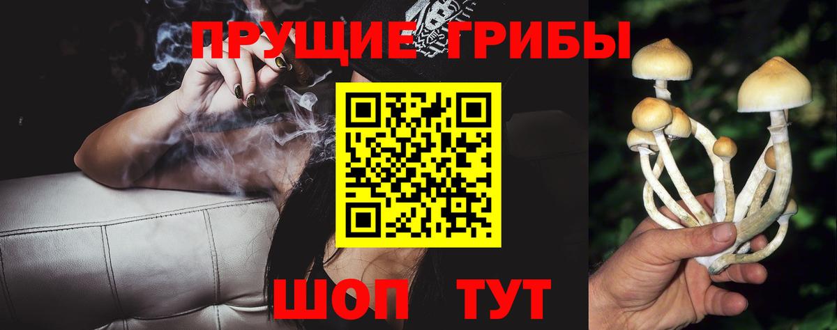 Галлюциногенные грибы прущие грибы  Вход с VPN  Слободской 